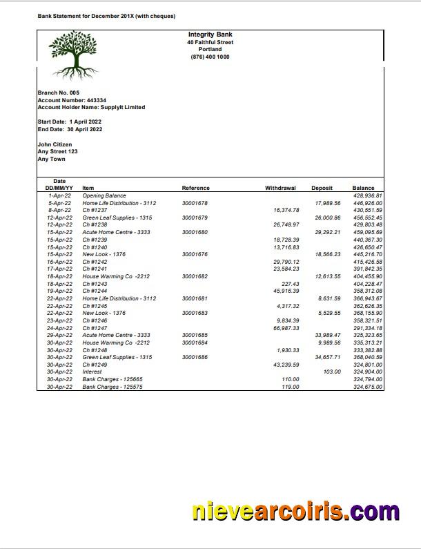 USA Integrity Bank statement Word and PDF